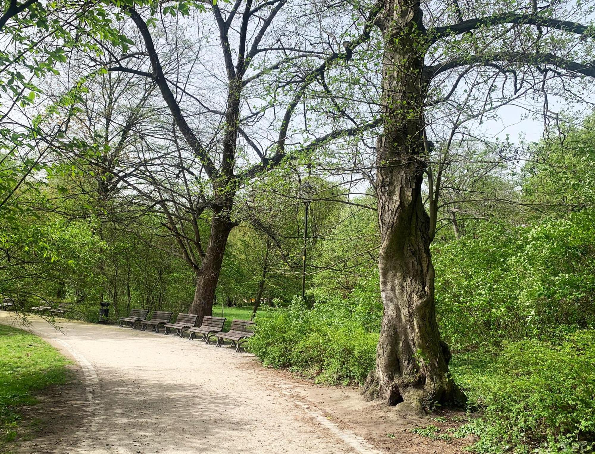 Stylowy Park Wawrzyniaka Breslau