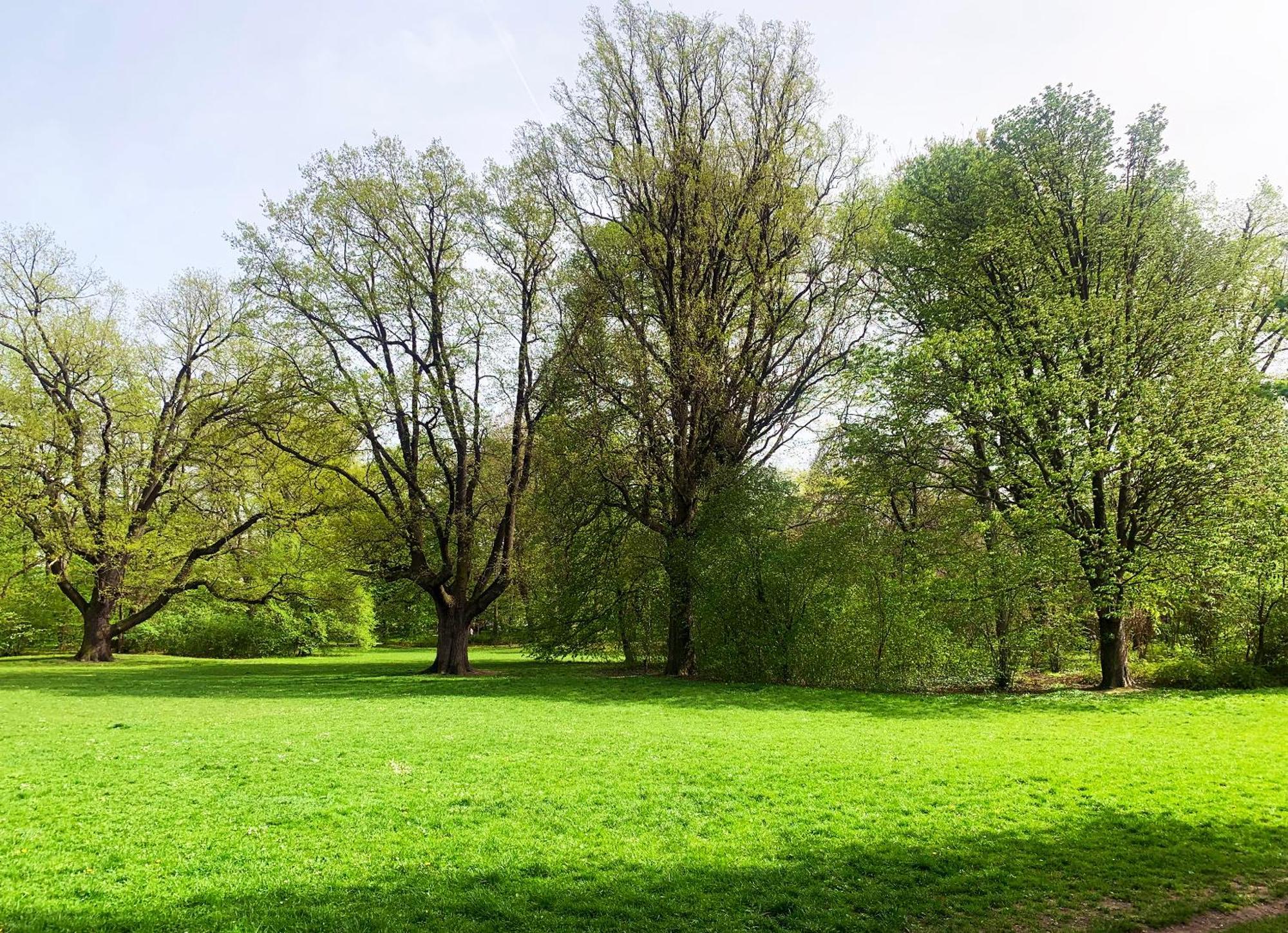 Stylowy Park Wawrzyniaka